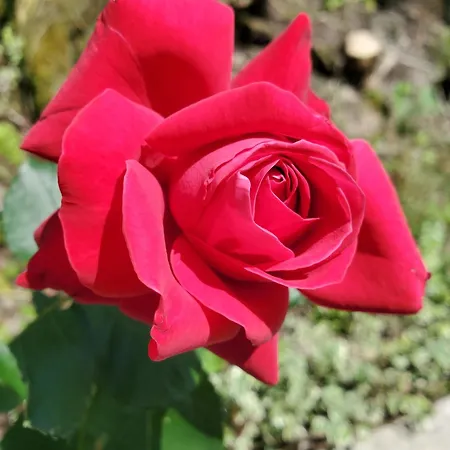 شقة Haus An Der Sonne 1