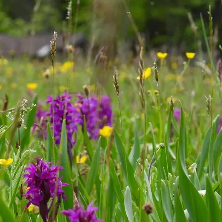 Haus An Der Sonne 1 شقة ببيرفيير