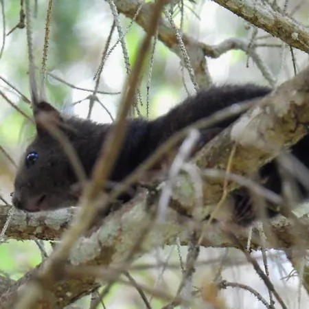 شقة Haus An Der Sonne 1 ببيرفيير