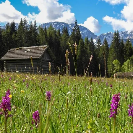 Haus An Der Sonne 1 * ببيرفيير