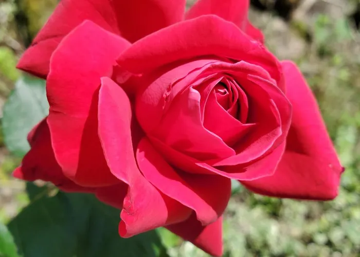 Appartamento Haus An Der Sonne 1