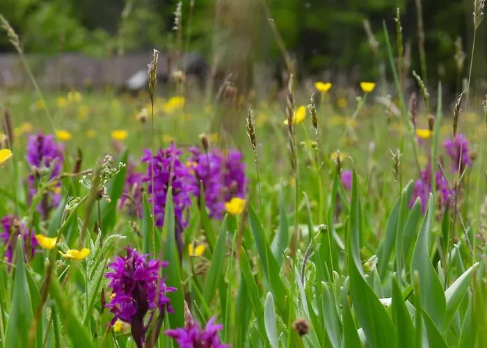 Haus An Der Sonne 1 Appartamento Biberwier