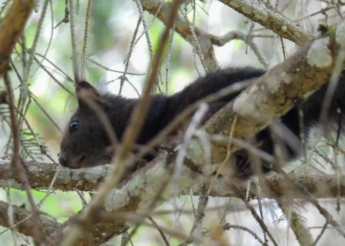 Appartamento Haus An Der Sonne 1 Biberwier